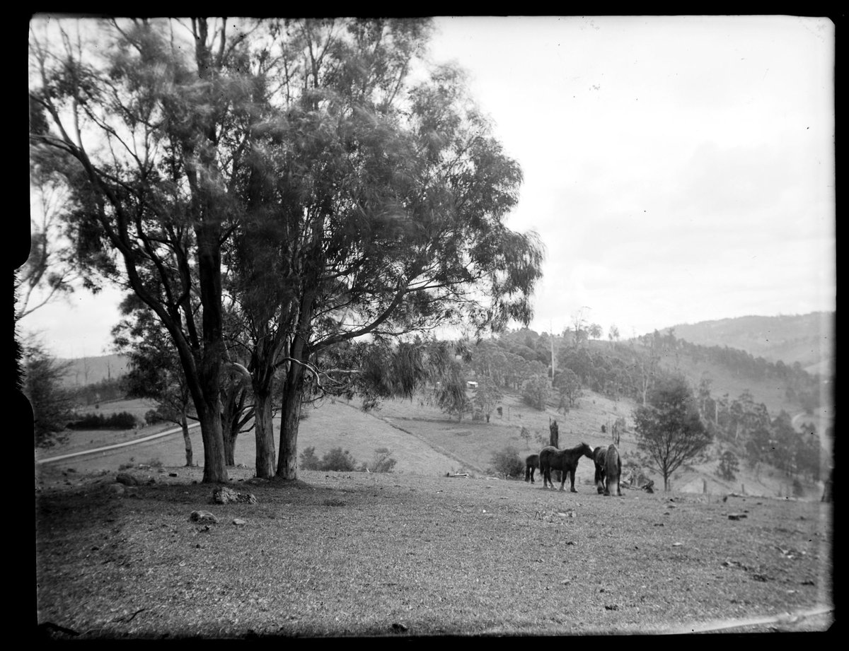 Eltham, 1935
