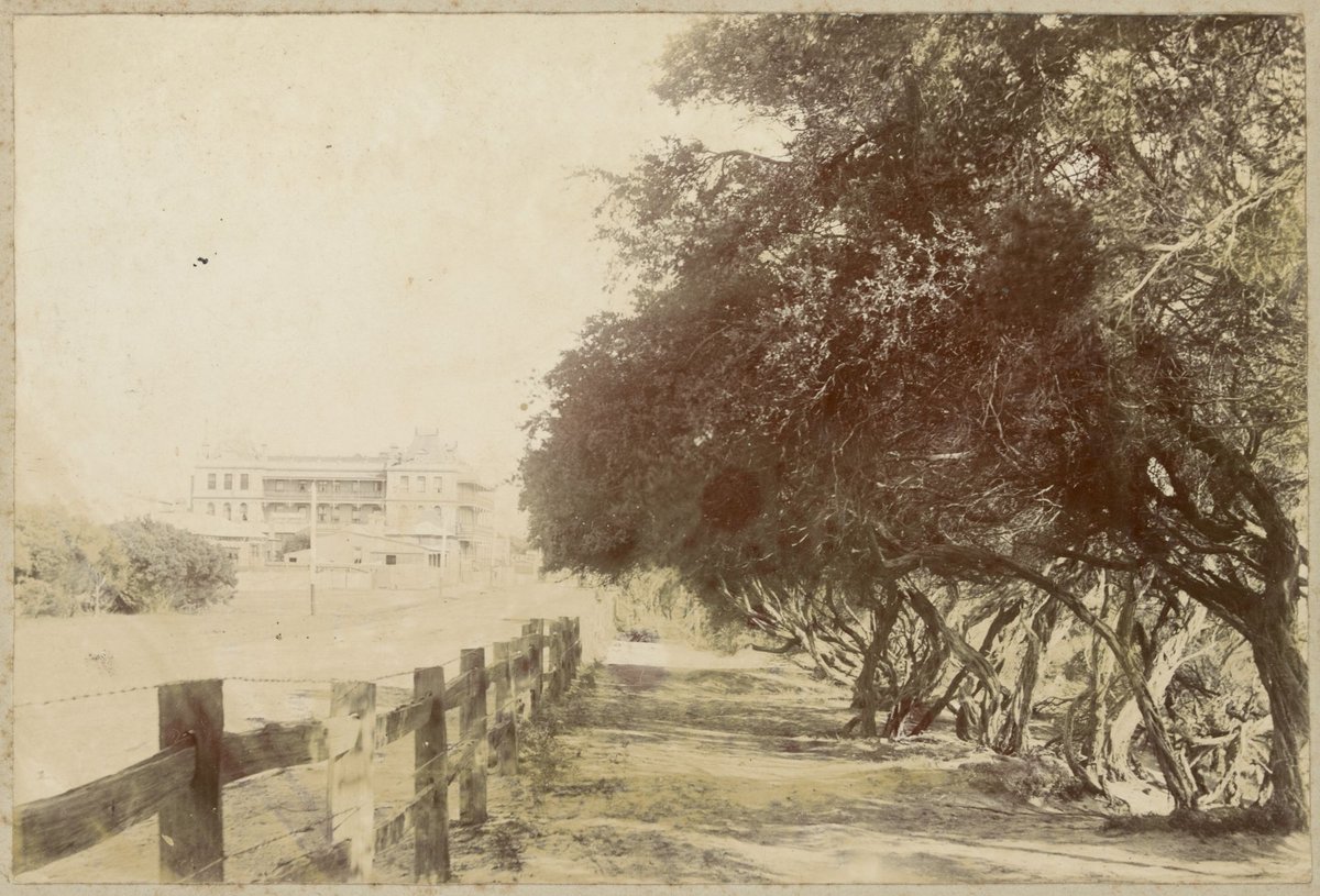 Sandringham House (Coffee Palace) & Beach Road, Melbourne City (1900–10)