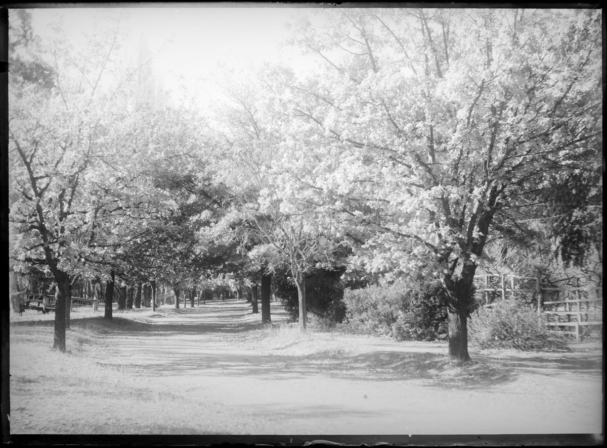 Ivanhoe, Sorrento, Vic (c. 1911)