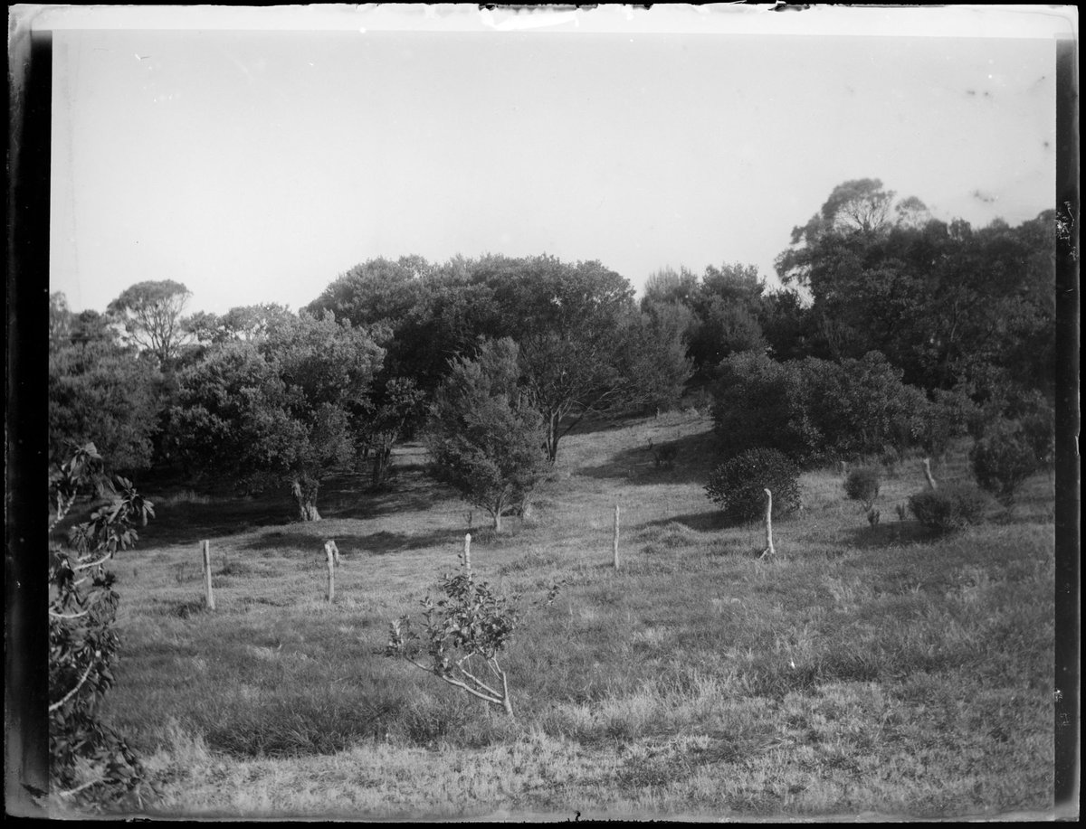 Ivanhoe, Sorrento, Vic (c. 1907)