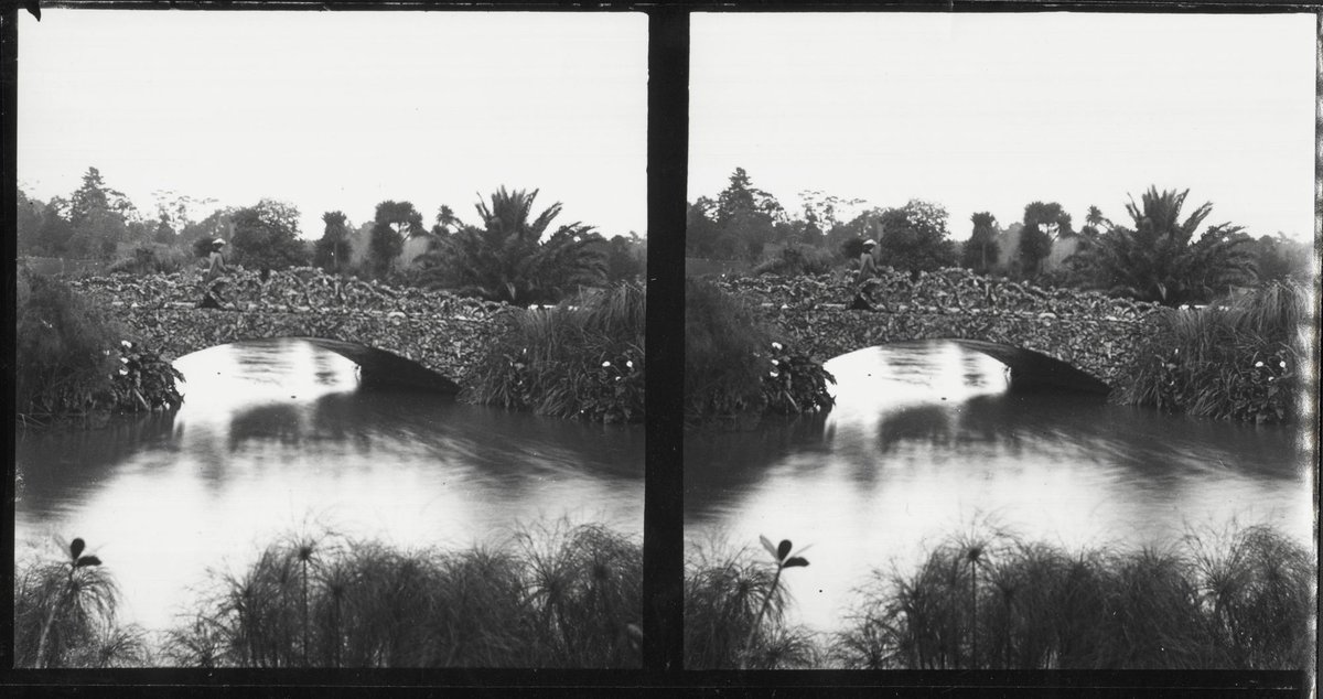 Botanical and Treasury Gardens, Melbourne, Victoria, East Melbourne (1890–1910)