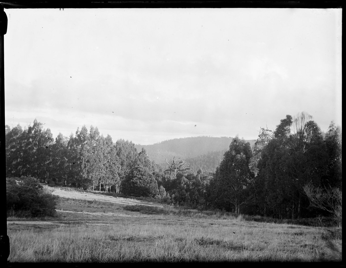 Eltham, 1935