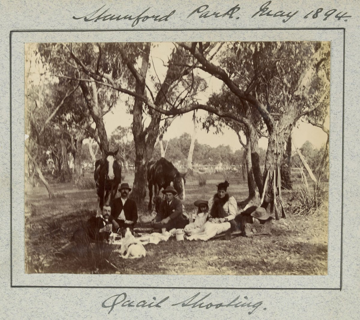 Hewlett's education at the University of Melbourne Medical School and visits with family and friends, Parkville (1883–95)
