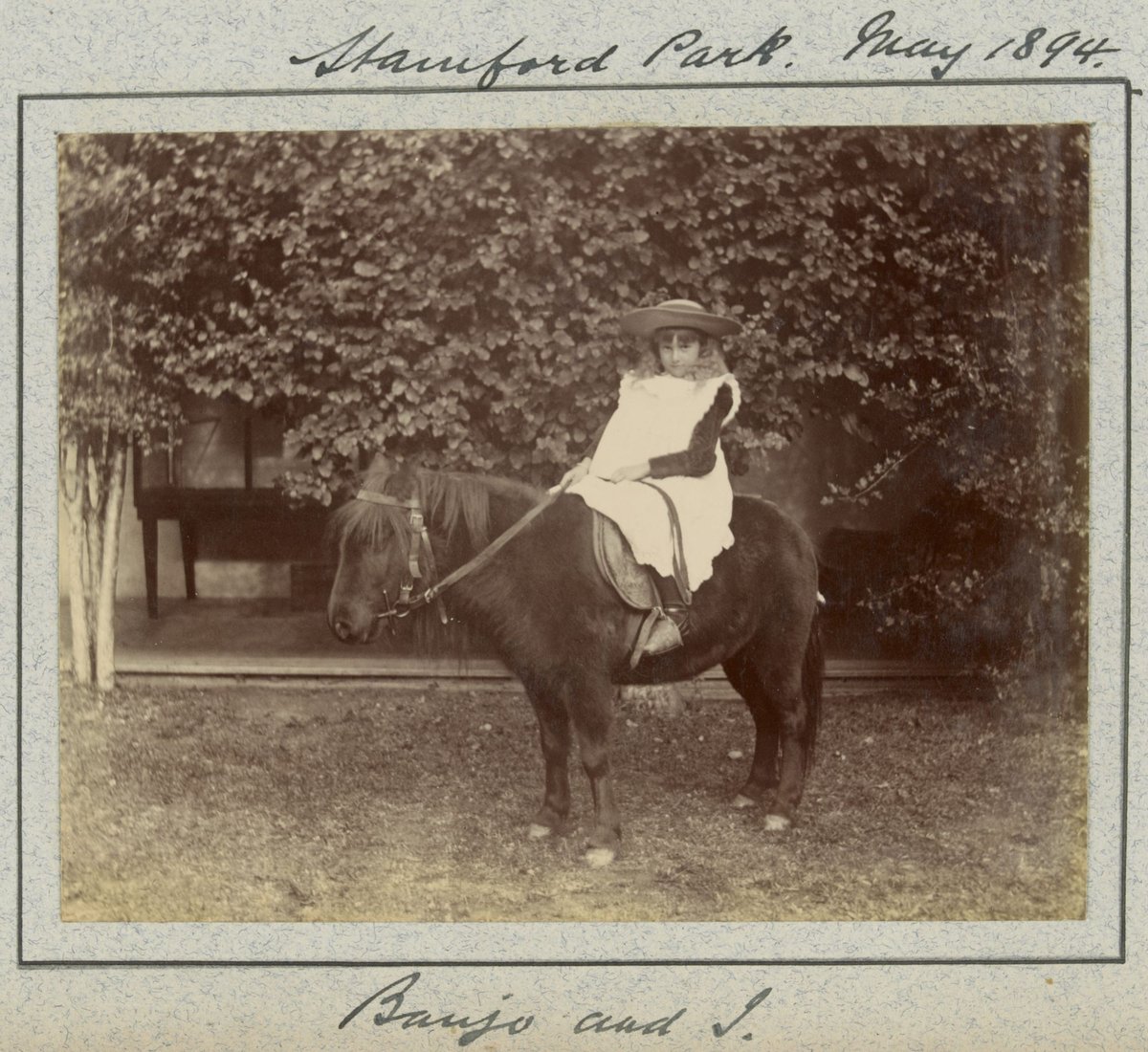 Hewlett's education at the University of Melbourne Medical School and visits with family and friends, Parkville (1883–95)