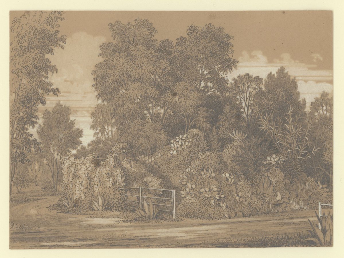 The larger rockery at Jolimont (1852–54)