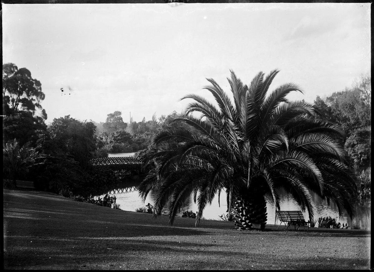 Alexandra Gardens, Melbourne, Melbourne City (1900–10)
