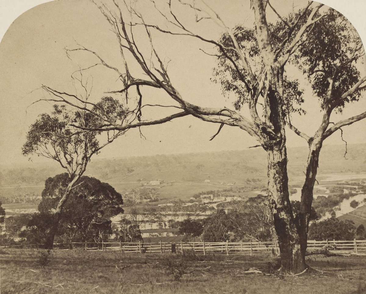 View near Heidelberg, the Yarra flooded, Victoria (c. 1858)