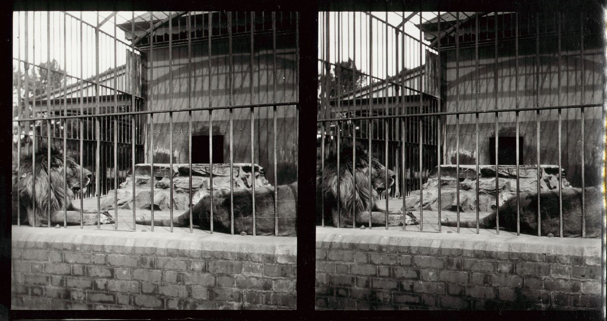 Melbourne Zoo, Parkville (1890–1910)