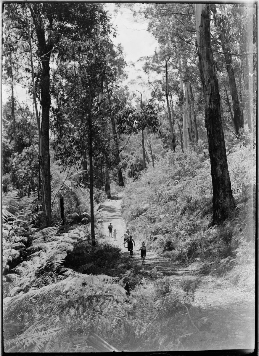 Walkers in Dandenong Forest (1937–39)