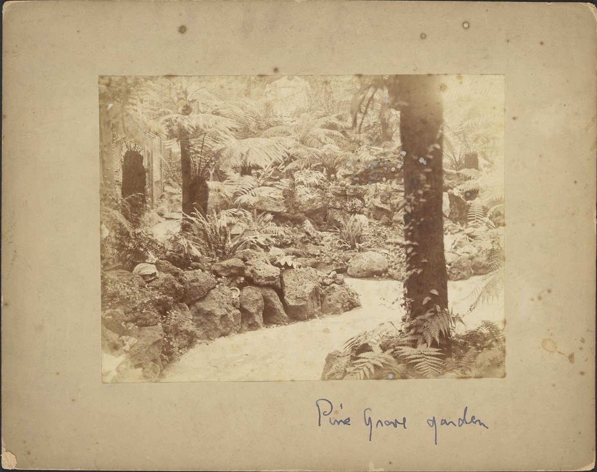 Views of Pine Grove Lennox Street Richmond (1905)