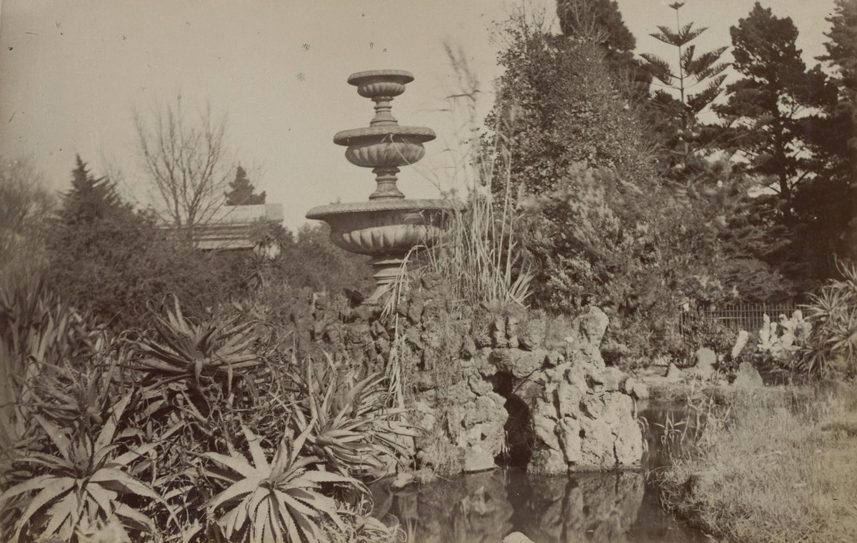 Royal Botanical Gardens, Melbourne (Vic.), Melbourne City (1900–10)