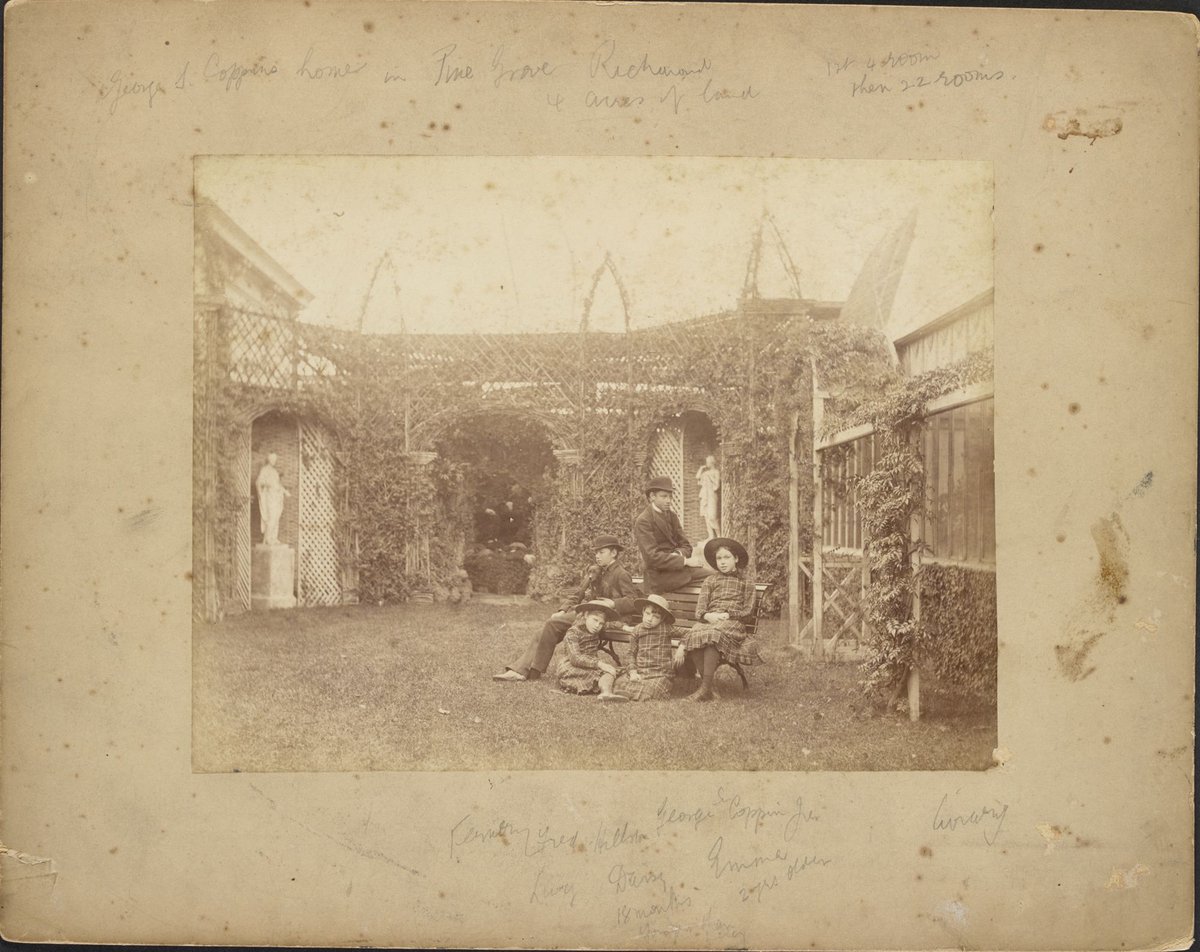 Views of Pine Grove Lennox Street Richmond (1905)