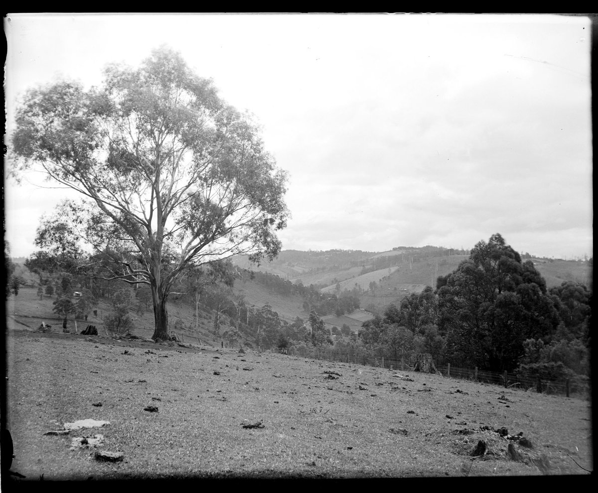 Eltham, 1935