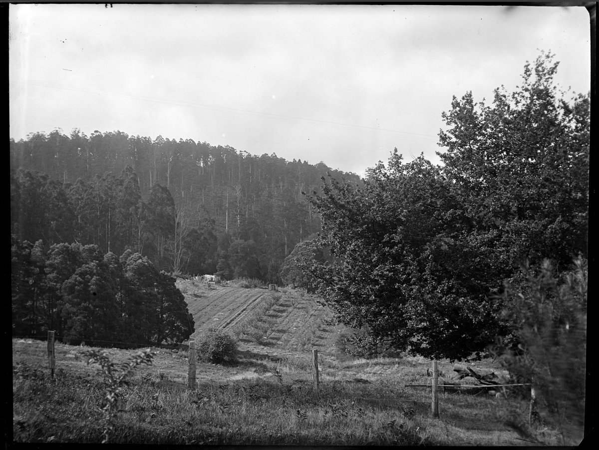 Eltham, 1935