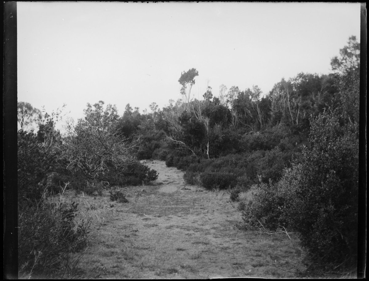 Ivanhoe, Sorrento, Vic (c. 1914)