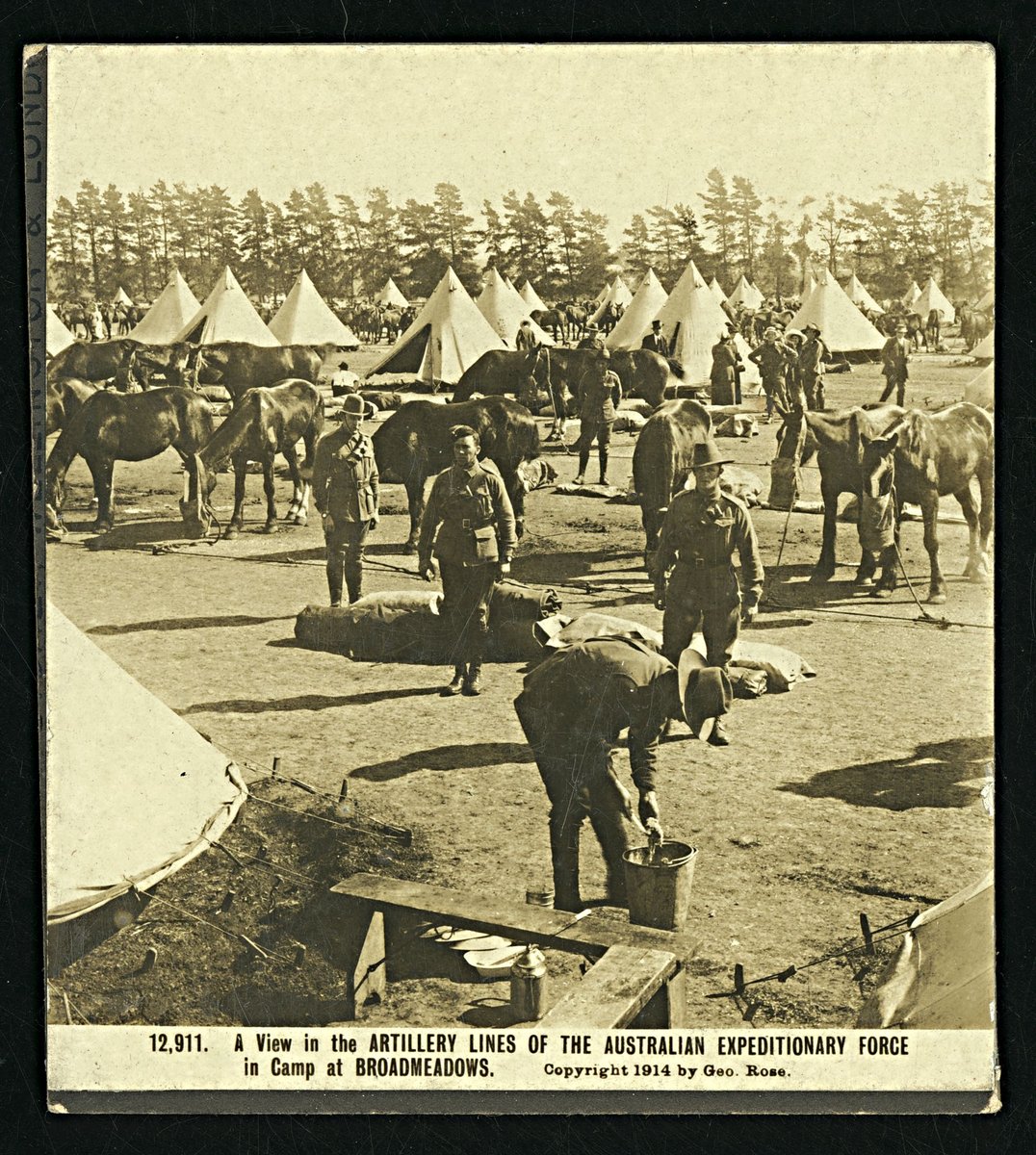A view in the artillery lines of the Australian Expeditionary Force in camp at Broadmeadows (1914)