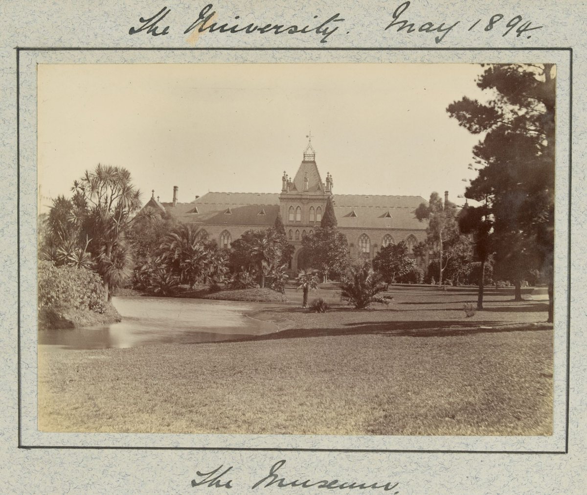 Hewlett's education at the University of Melbourne Medical School and visits with family and friends, Parkville (1883–95)