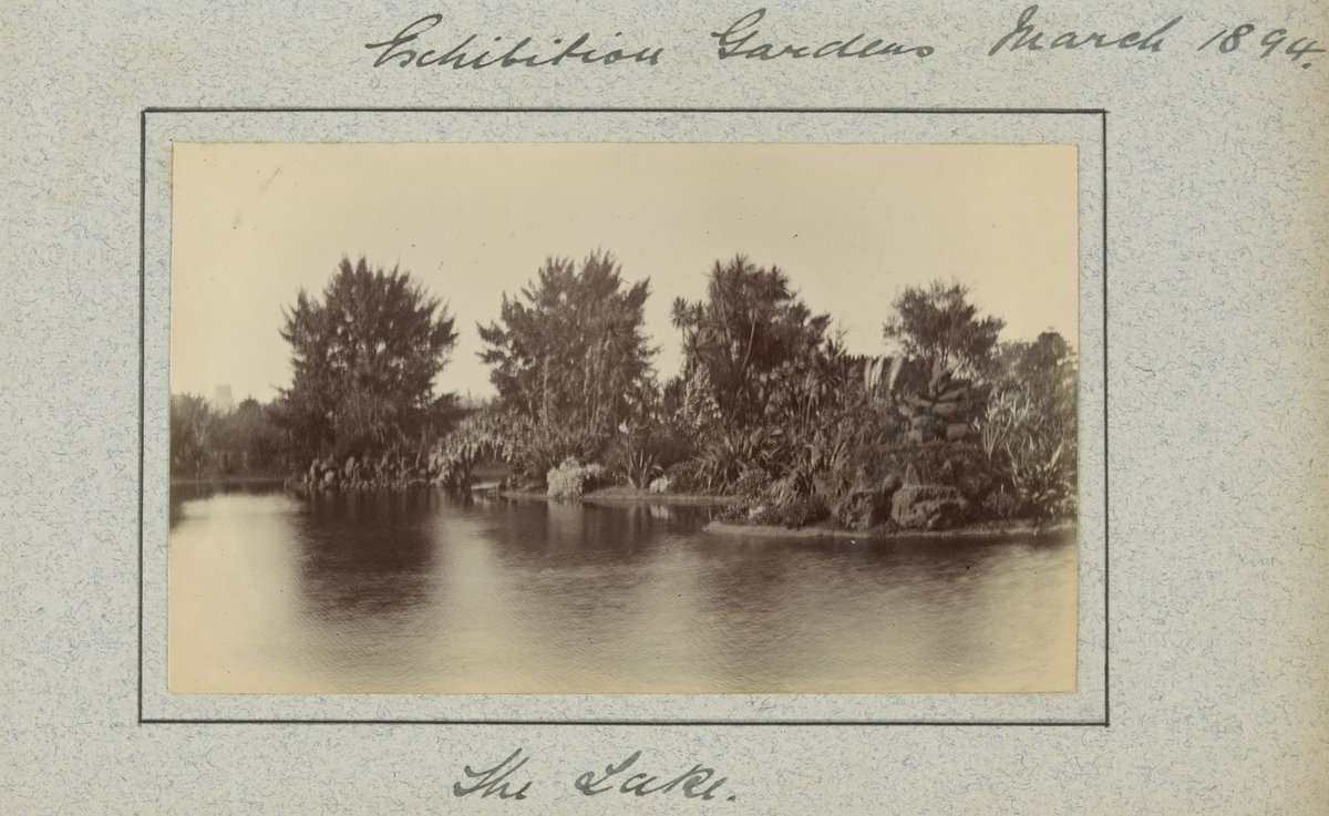 Hewlett's education at the University of Melbourne Medical School and visits with family and friends, Parkville (1883–95)
