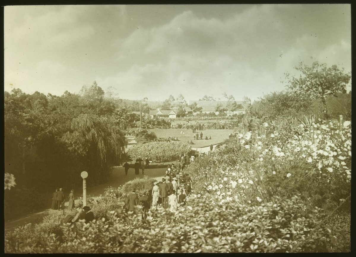 Alexandra Gardens, Melbourne in 1915, Melbourne City