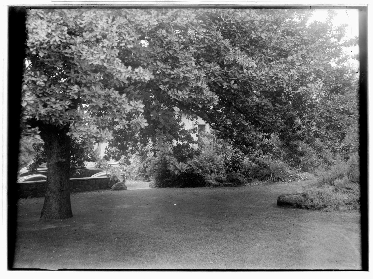 Donaldson Garden, Heidelberg (1932–38)