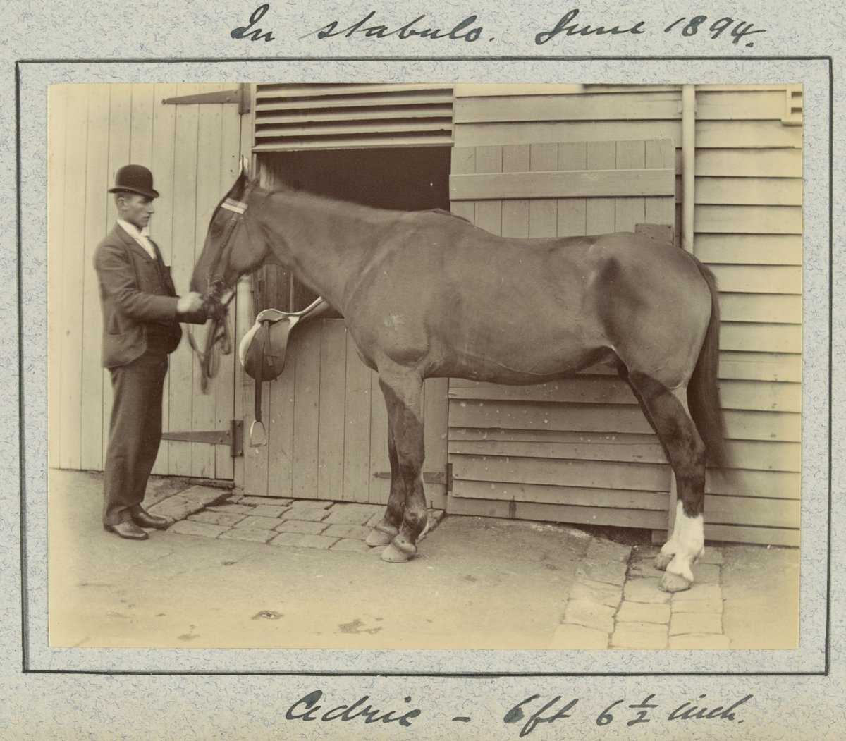 Hewlett's education at the University of Melbourne Medical School and visits with family and friends, Parkville (1883–95)