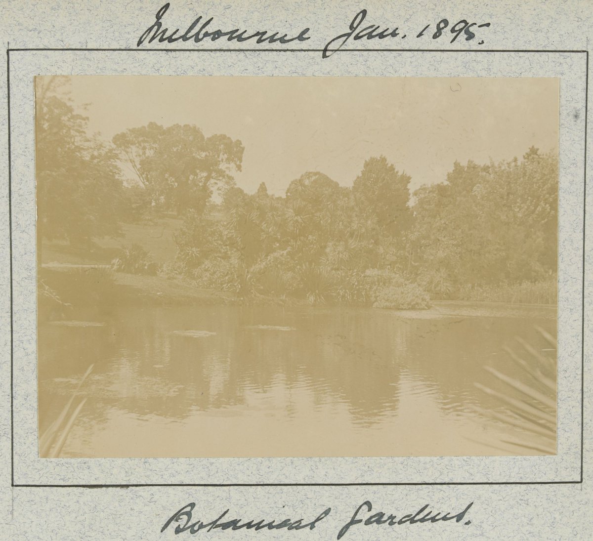 Hewlett's education at the University of Melbourne Medical School and visits with family and friends, Parkville (1883–95)