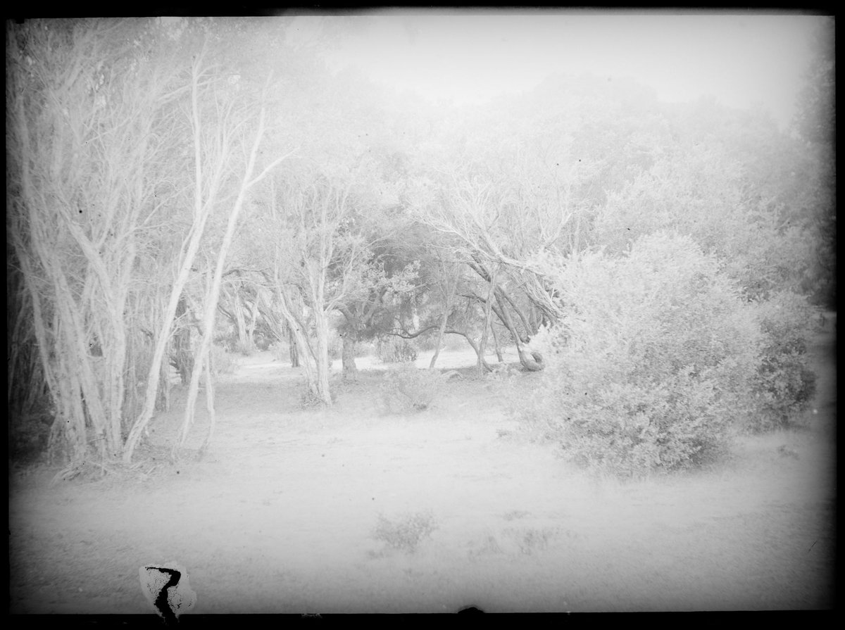 Ivanhoe, Sorrento, Vic (c. 1911)