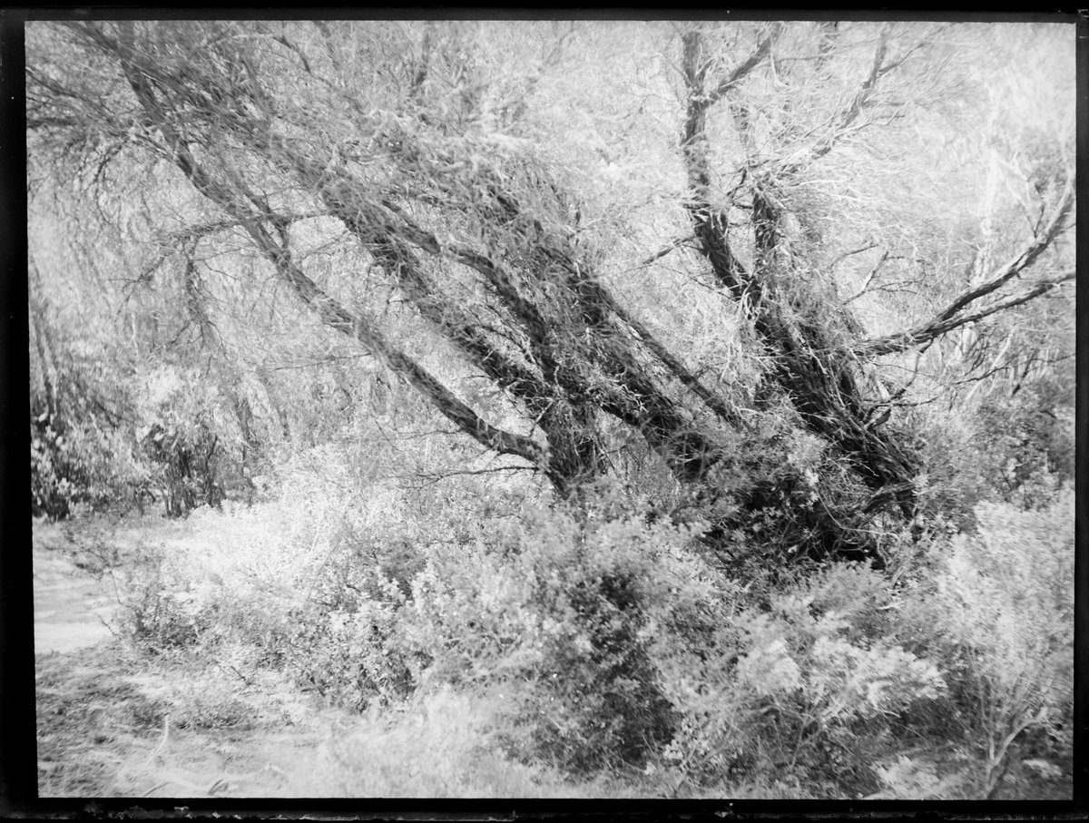 Ivanhoe, Sorrento, Vic (c. 1911)