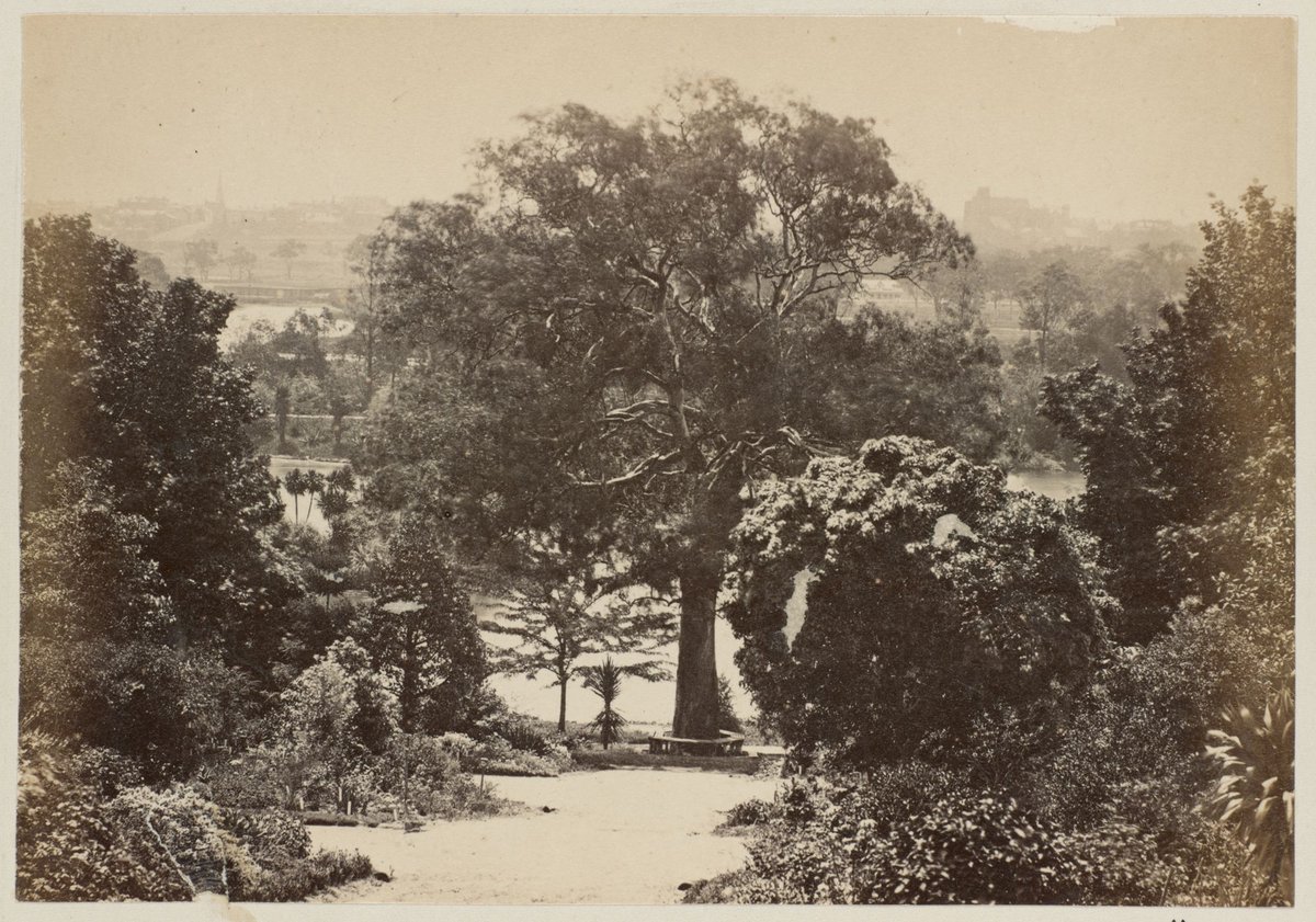 Botanical Gardens. [Melbourne], Melbourne City (1875)