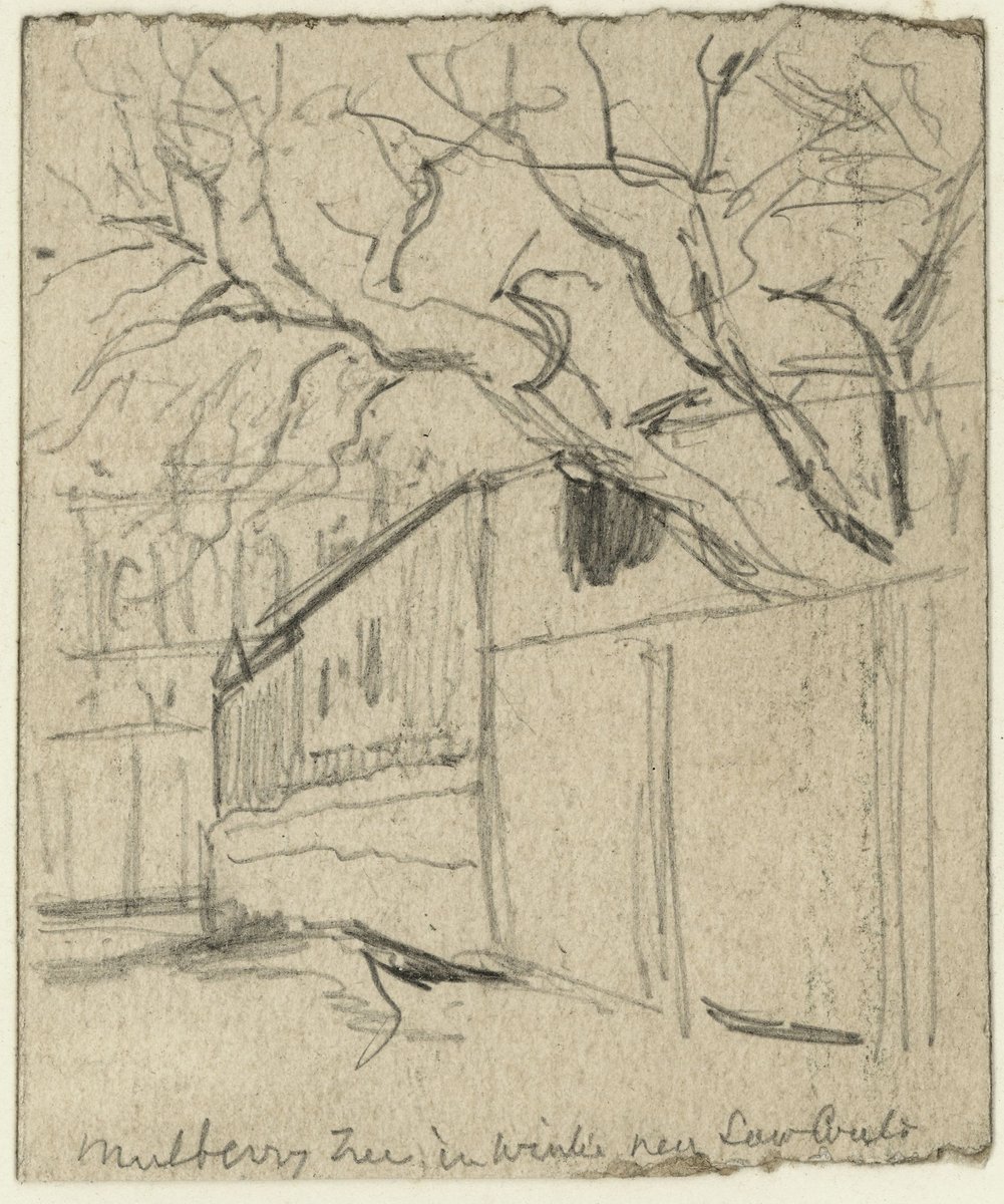 Melbourne residences and gardens, Albert Park (1875–1900)