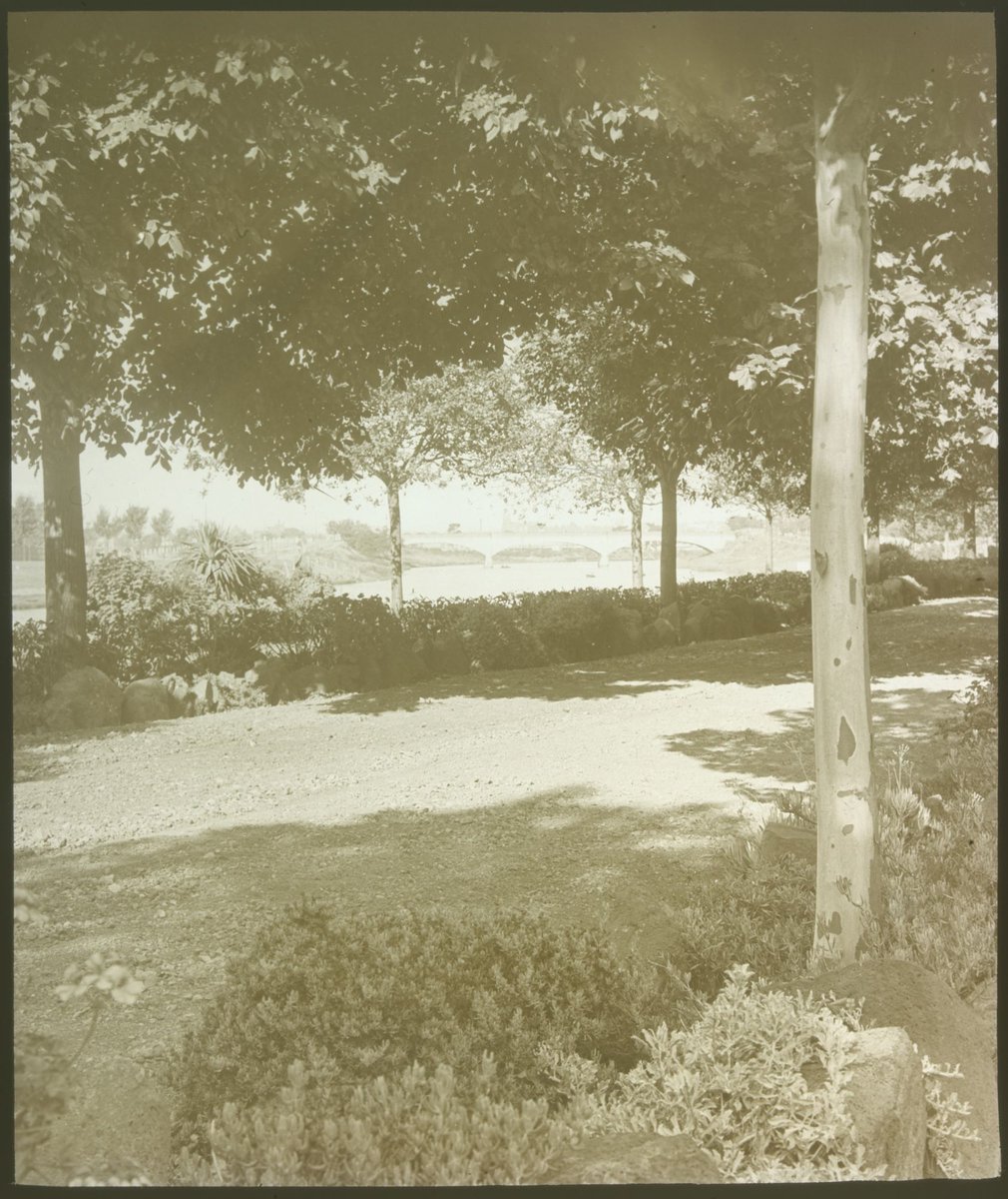 Alexandra Avenue, Melbourne 1921, Melbourne City