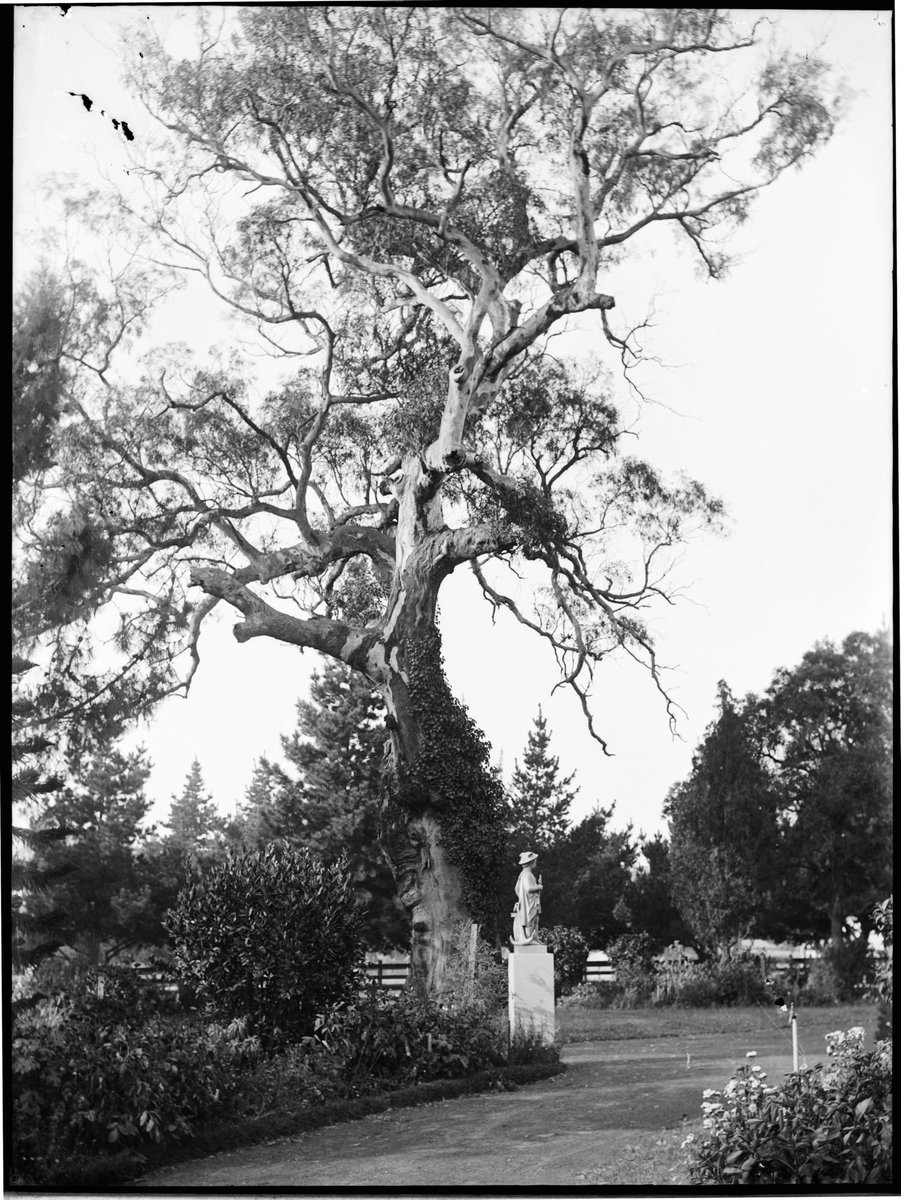 View at Studley Park, Kew (1880–1930)