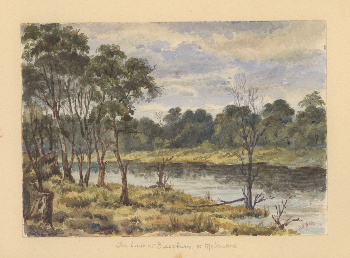 The lake at Blackburn. nr. Melbourne (1890–1914)