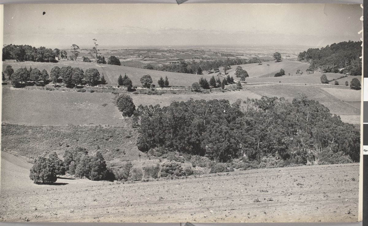 View from Ridge Road, The Dandenongs, [Vic.] (1947)