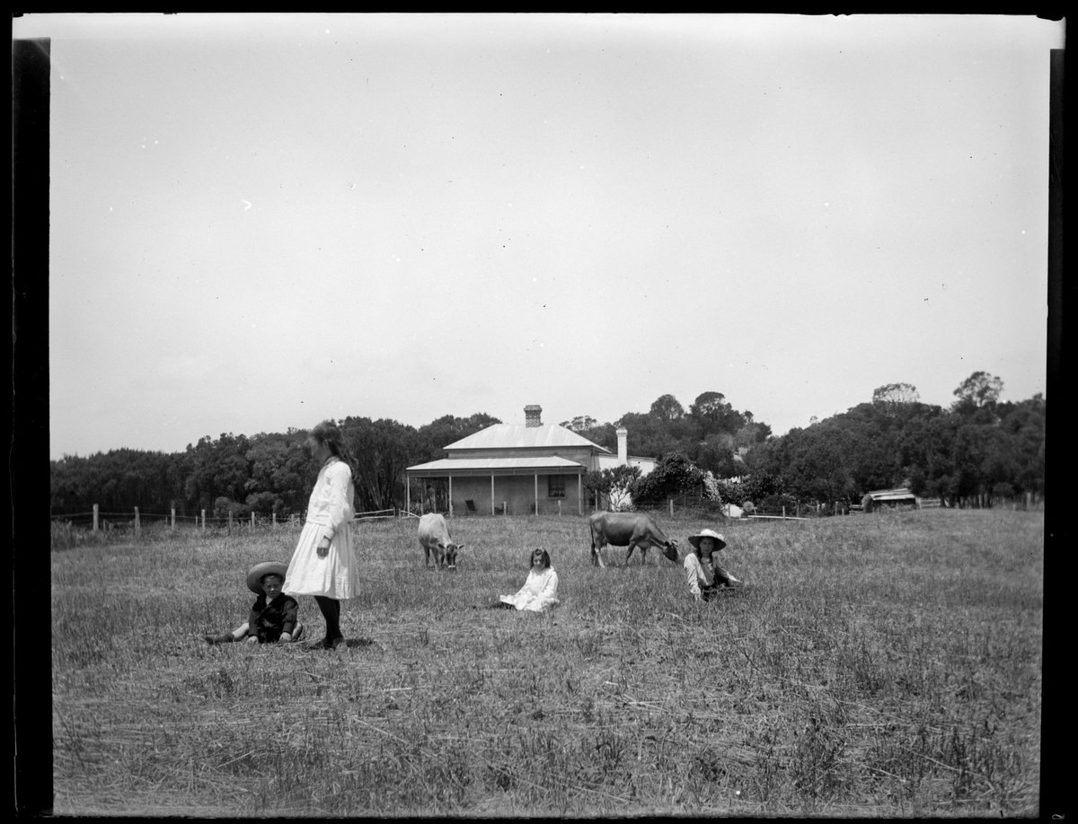 [Wardell children in paddock, "Ivanhoe, Sorrento, Vic.] (1909)