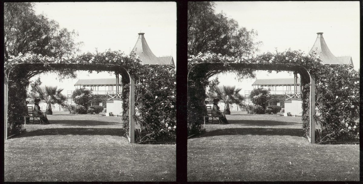 Flemington Race Track, Victoria (1890–1910)
