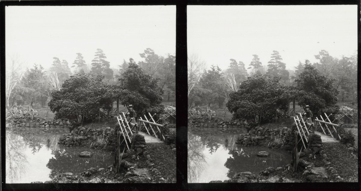 Botanical and Treasury Gardens, Melbourne, Victoria, East Melbourne (1890–1910)