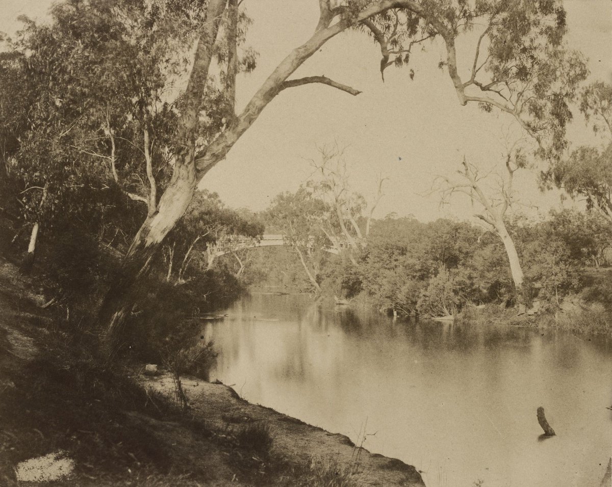 The Yarra near Studley Park, Victoria, Kew (c. 1858)