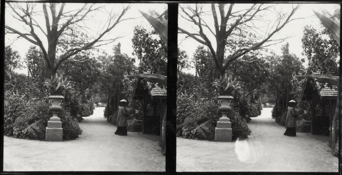 Botanical and Treasury Gardens, Melbourne, Victoria, East Melbourne (1890–1910)
