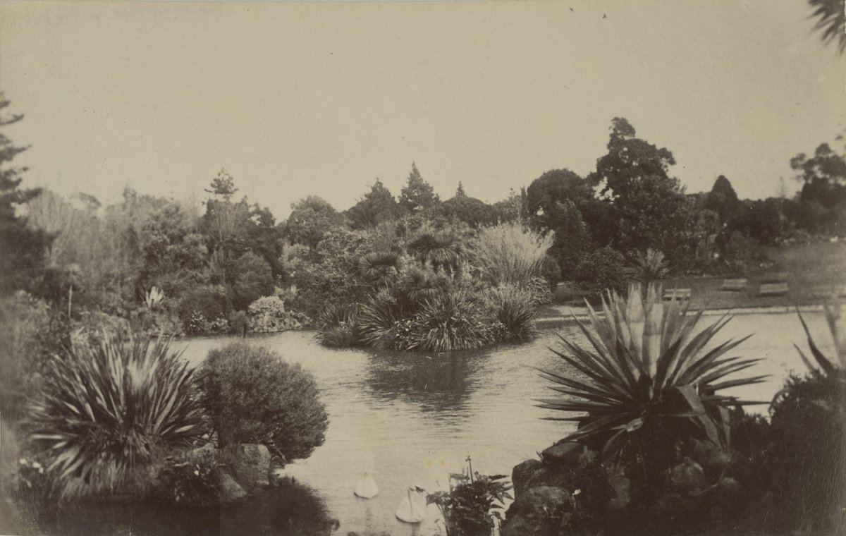Royal Botanical Gardens, Melbourne (Vic.), Melbourne City (1900–10)