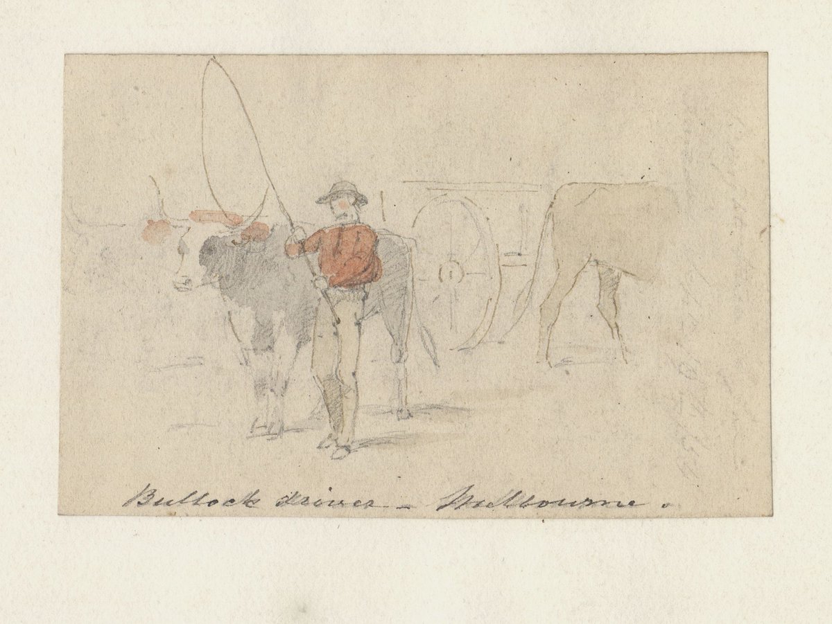 Bullock driver - Melbourne (1854)
