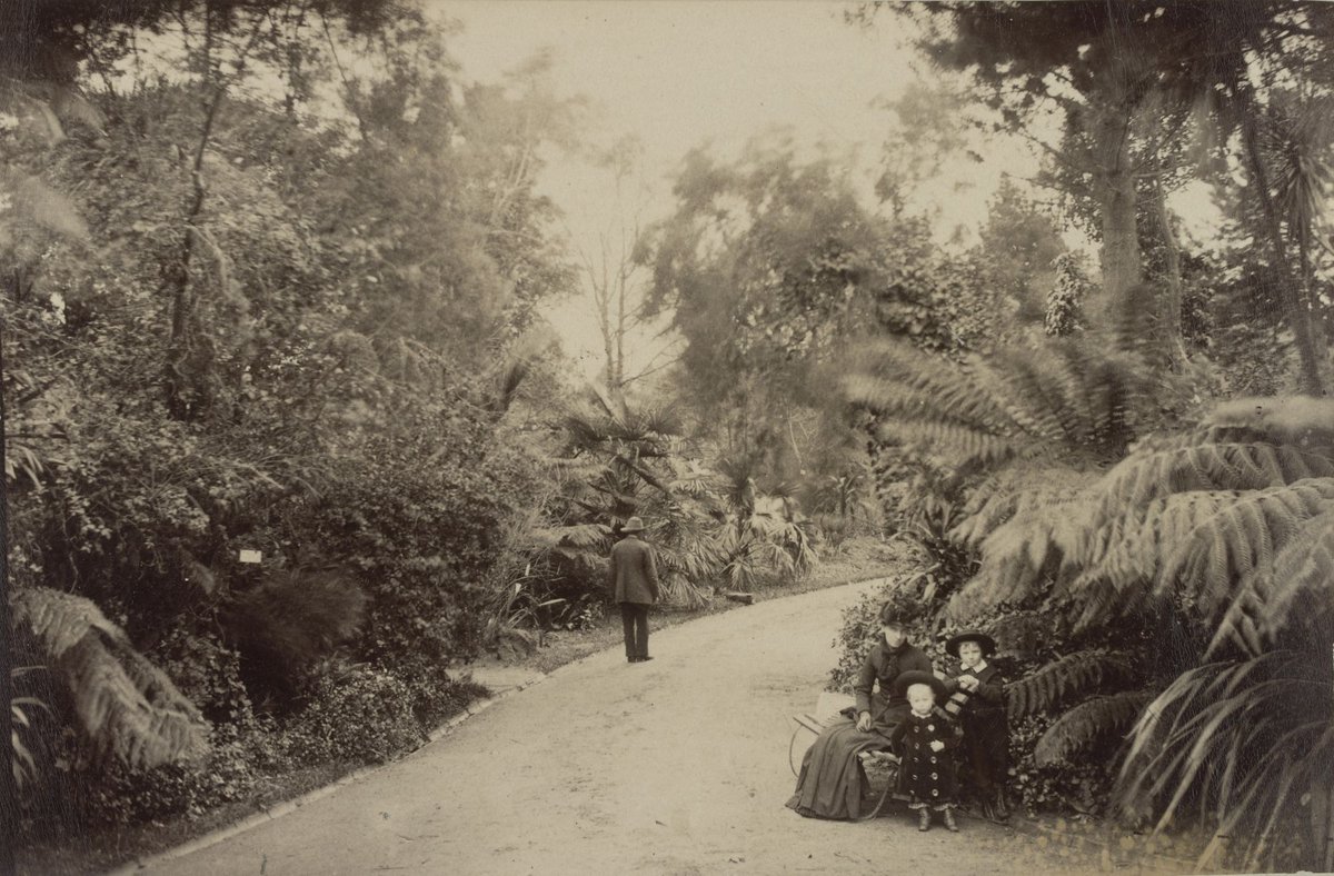 Royal Botanical Gardens, Melbourne (Vic.), Melbourne City (1900–10)