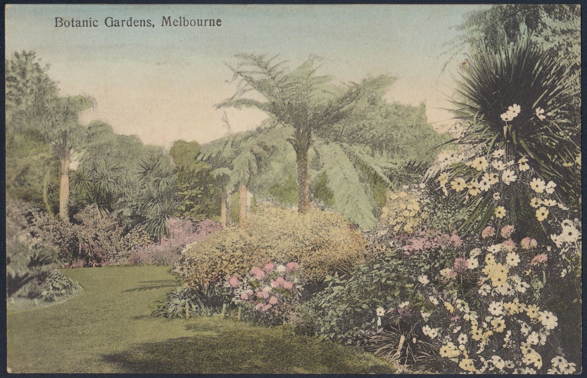 Botanic Gardens, Melbourne, Melbourne City (1909?)