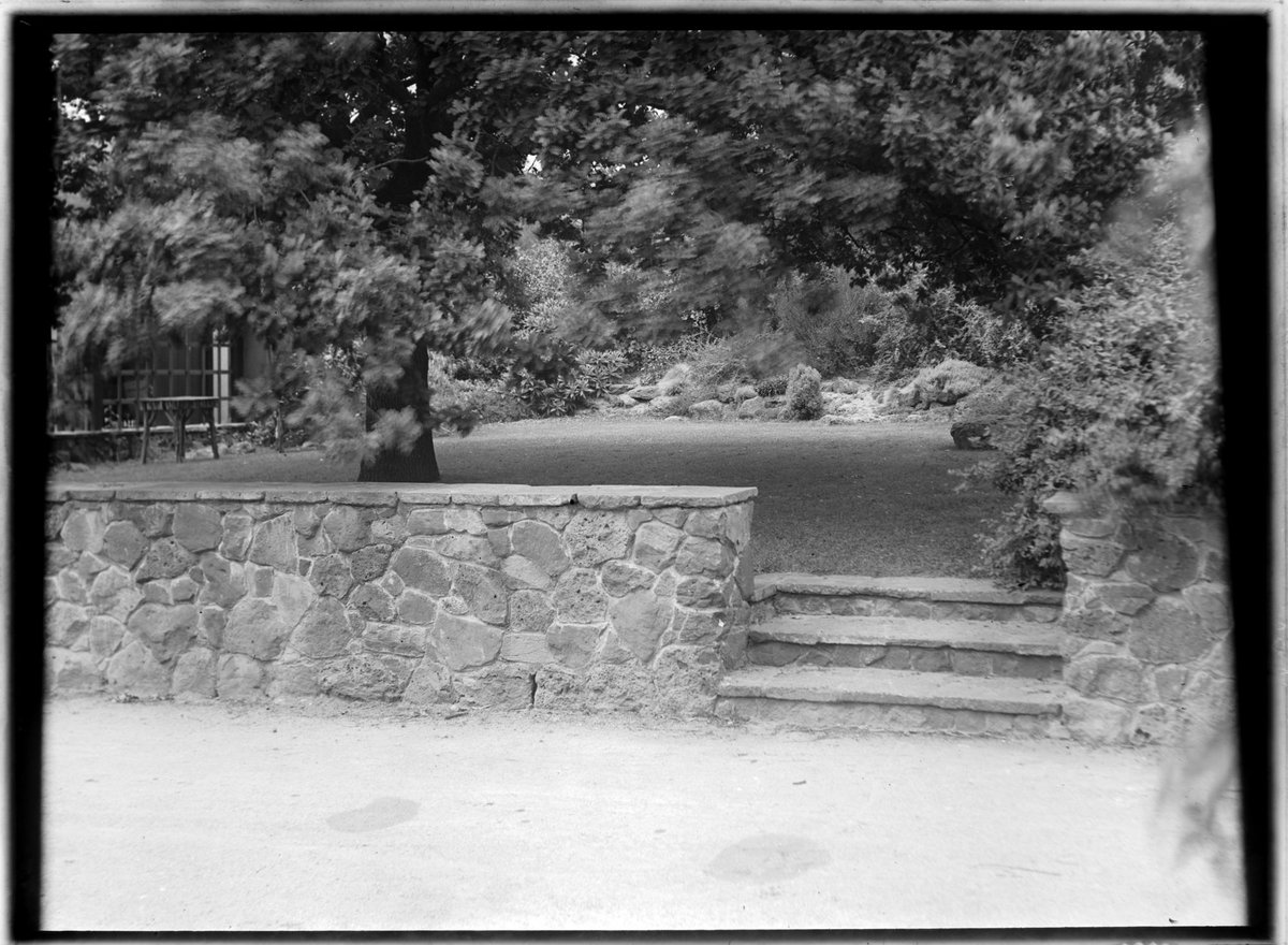 Donaldson Garden, Heidelberg (c. 1935)