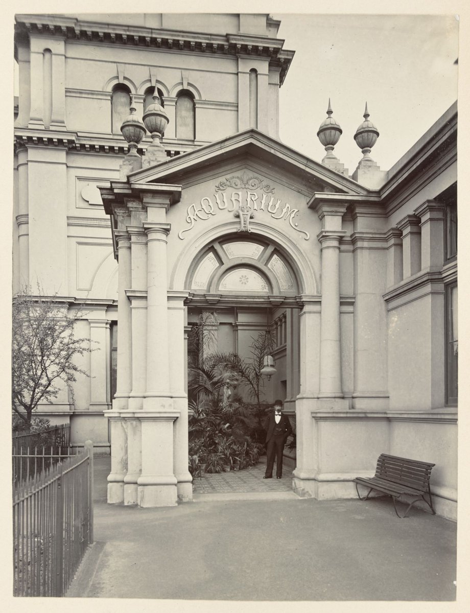 [Entrance to Aquarium, Royal Exhibition Building, Melbourne], Carlton (1885–90)