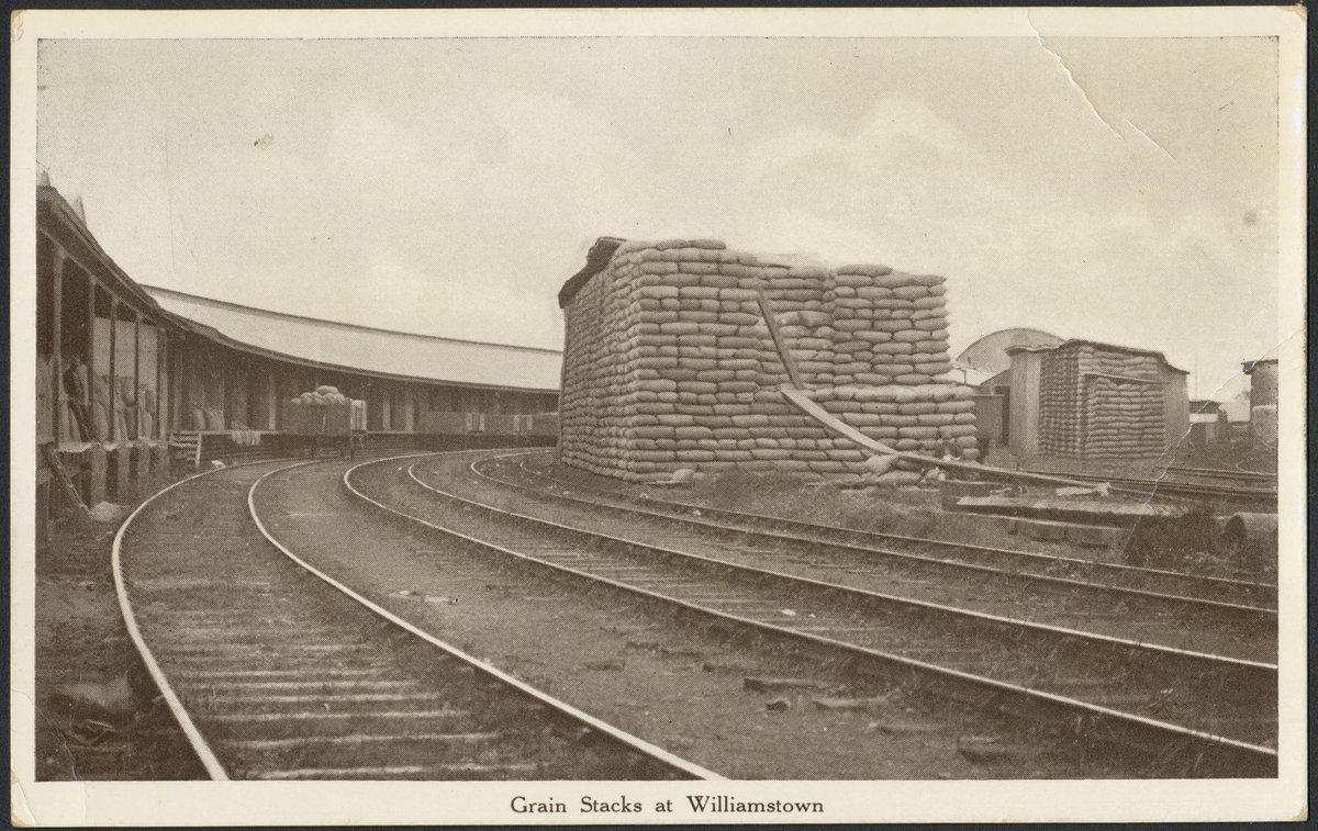 Grain stacks at Williamstown (1910?)