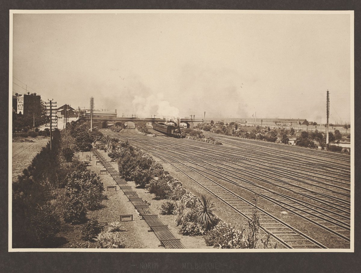 North Melbourne, plantations formed, early growth (1916?)