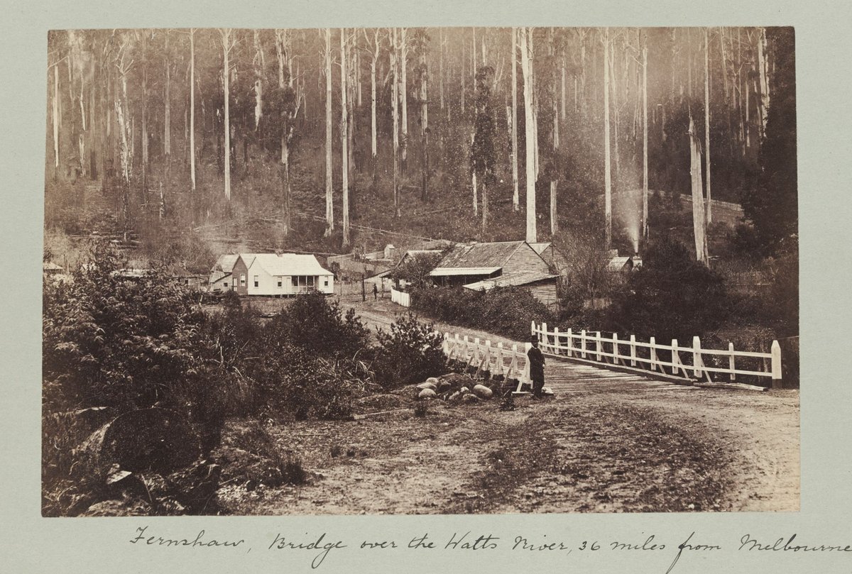 Fernshaw, bridge over the Watts River, 36 miles from Melbourne (1870–80)
