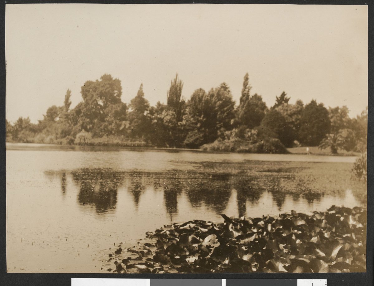 In the Botanical Gardens, Melbourne, Vic, Melbourne City (1923–25)