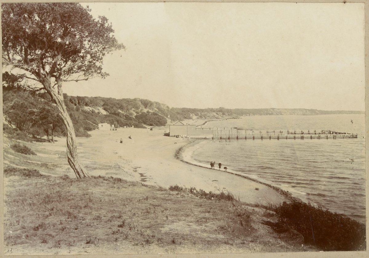 Sandringham Beach (1900)